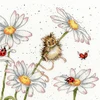 Bothy Threads Cross stitch kit "Daisy Mouse" XHD80 26x26 cm