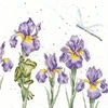 Bothy Threads Cross stitch kit "Damsels And Dragons" XHD97 26x26 cm