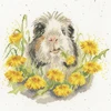 Bothy Threads Cross stitch kit "Dandy Day" XHD165 26x26 cm