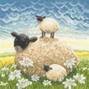 Bothy Threads Cross stitch kit "Double Trouble" XLP6 26x26 cm