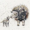 Bothy Threads Cross stitch kit "Ewe And Me" XHD47 26x26 cm