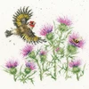 Bothy Threads Cross stitch kit "Feathers And Thistles" XHD133 26x26 cm