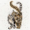 Bothy Threads Cross stitch kit "Feline Good" XHD60 26x26 cm