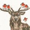 Bothy Threads Cross stitch kit "Festive Friends" XHD110 26x26 cm