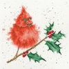 Bothy Threads Cross stitch kit "Festive Feathers" XHD67 26x26 cm