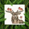 Bothy Threads Cross stitch kit "Festive Friends" XHD110 26x26 cm