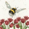 Bothy Threads Cross stitch kit "Flight Of The Bumblebee" XHD41 26x26 cm