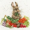 Bothy Threads Cross stitch kit "Grow Your Own" XHD52 26x26 cm