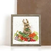 Bothy Threads Cross stitch kit "Grow Your Own" XHD52 26x26 cm