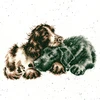 Bothy Threads Cross stitch kit "Growing Old Together" XHD104 26x26 cm