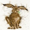 Bothy Threads Cross stitch kit "Hare Brained" XHD49 26x26 cm