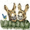 Bothy Threads Cross stitch kit "Hee Haw" XHD70 26x26 cm