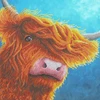 Bothy Threads Cross stitch kit "Highlander" XRF8 26x26 cm