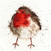 Bothy Threads Cross stitch kit "Jolly Robin" XHD5 26x26 cm