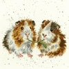 Bothy Threads Cross stitch kit "Lettuce Be Friends" XHD19 26x26 cm