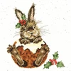 Bothy Threads Cross stitch kit "Little Pudding" XHD90 26x26 cm