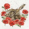 Bothy Threads Cross stitch kit "Love Is In The Hare" XHD61 26x26 cm
