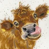 Bothy Threads Cross stitch kit "Moo" XHD48 26x26 cm