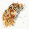 Bothy Threads Cross stitch kit "Moongazer" XHD58 26x26 cm