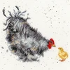 Bothy Threads Cross stitch kit "Mother Hen" XHD50 26x26 cm