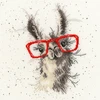 Bothy Threads Cross stitch kit "No Cause For A-llama" XHD40 26x26 cm