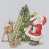 Bothy Threads Cross stitch kit "North Pole Star" XX26 19x19 cm