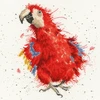 Bothy Threads Cross stitch kit "Parrot On Parade" XHD26 26x26 cm