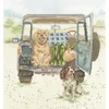 Bothy Threads Cross stitch kit "Paws For A Picnic" XHD126 31x33 cm