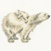 Bothy Threads Cross stitch kit "Snow Baby" XHD111 26x26 cm
