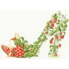 Bothy Threads Cross stitch kit "Strawberries And Kreminis" XSK19 29x21 cm