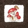 Bothy Threads Cross stitch kit "The Fairy Ring" XHD101 26x26 cm