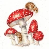 Bothy Threads Cross stitch kit "The Fairy Ring" XHD101 26x26 cm