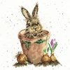 Bothy Threads Cross stitch kit "The Flower Pot" XHD76 26x26 cm