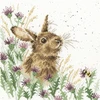 Bothy Threads Cross stitch kit "The Meadow" XHD30 26x26 cm