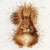 Bothy Threads Cross stitch kit "The Nutcracker" XHD14 26x26 cm