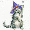 Bothy Threads Cross stitch kit "The Witch's Cat" XHD105 26x26 cm