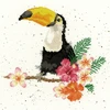 Bothy Threads Cross stitch kit "Toucan Of My Affection" XHD21 26x26 cm