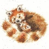Bothy Threads Cross stitch kit "Tree Hugger" XHD89 26x26 cm
