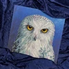 Bothy Threads Cross stitch kit "Wisdom" XRF12 26x26 cm