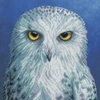 Bothy Threads Cross stitch kit "Wisdom" XRF12 26x26 cm