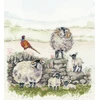 Bothy Threads Cross stitch kit "Žalias Pastures" XHD132 28x31 cm
