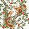 Bothy Threads Cross stitch kit "Under The" Holly Boughs" XHD169 26x26 cm
