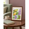 DIMENSIONS Groves Of Thame Goldfinch ir alyvos D70-65153