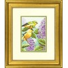 DIMENSIONS Groves Of Thame Goldfinch ir alyvos D70-65153