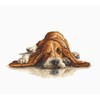 luca S Basset SB2341