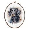 luca S Skaičiuojamo kryžminio siuvinėjimo rinkinys su lankeliu „The Border Collie“ 17x20cm SBC213