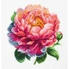 luca S Siuvinėjimo kryželiu rinkinys su lankelis ‘Coral Charm’ bijūnas 12x12cm SBC205