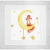 luca S Fox1 SB1187