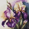 luca S Skaičiuojamojo kryžiaus dygsnio rinkinys "Iris Burgermeister" 22x22cm SB7023