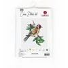 luca S Goldfinch bird SB1197